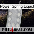 Power Spring Liquid 16